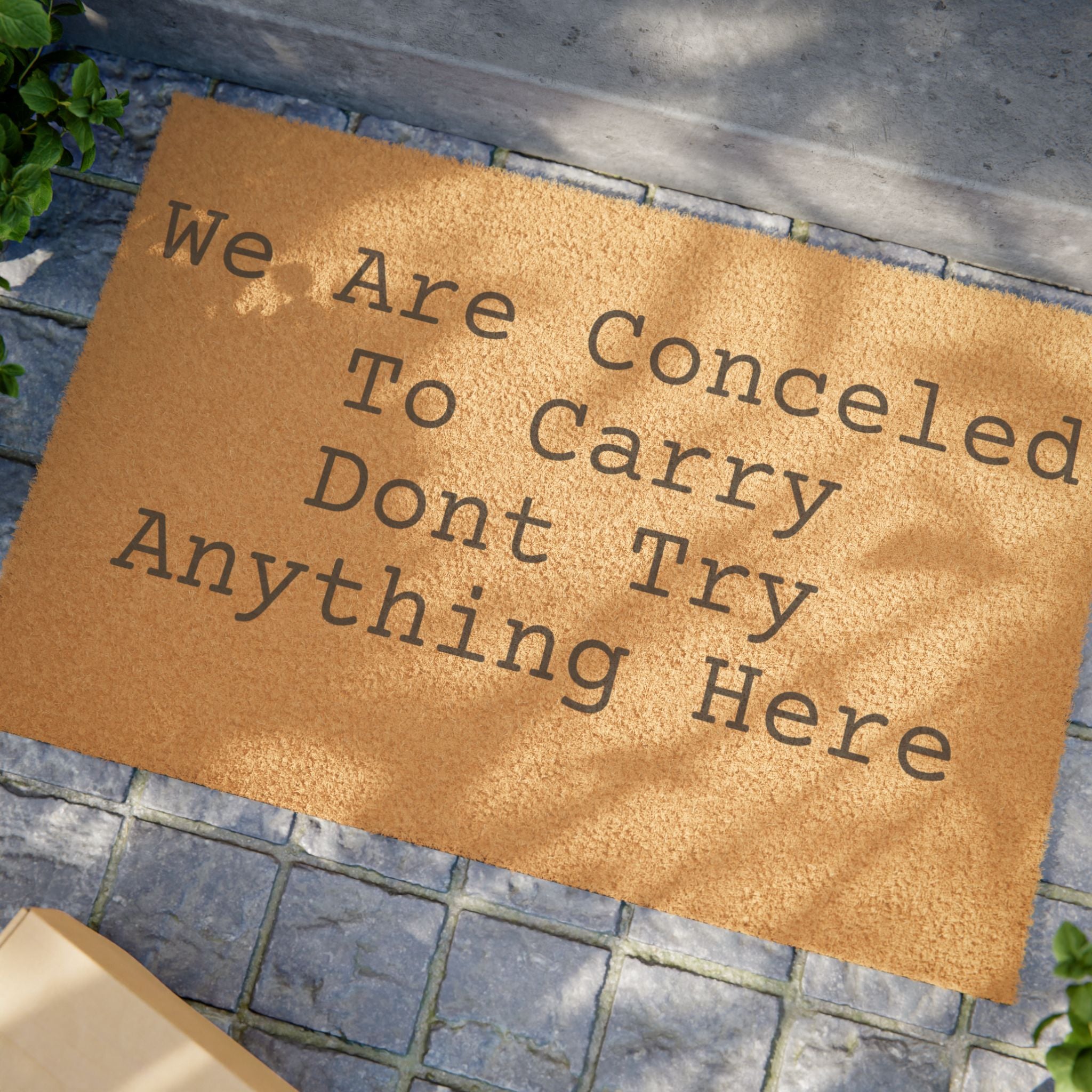 Doormat - "We Are Concealed To Carry Don't Try Anything Here" Funny Warning Welcome Mat